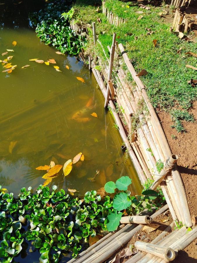 Appartamento Rancho Lux Águas de Lindóia Esterno foto