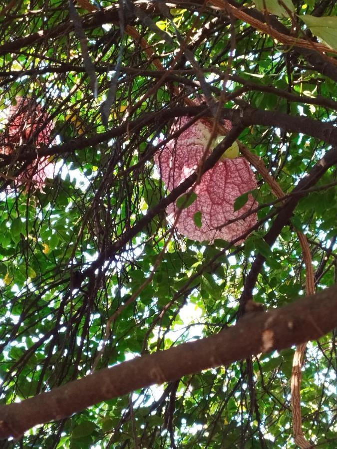 Appartamento Rancho Lux Águas de Lindóia Esterno foto